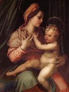 Andrea del Sarto The Virgin and Child oil on canvas